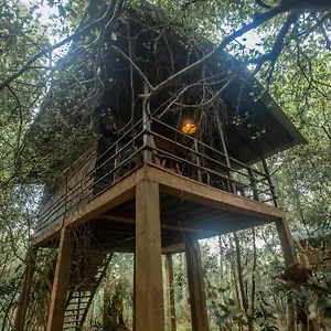 מלון On The Tree Eco Sigiriya, Kibissa
